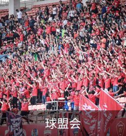 球盟会案例